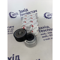 H218PF150005A  Ролик, натяжний механізм AGCO